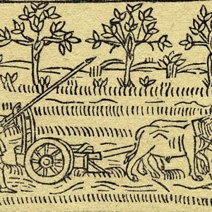 Awatar dla Ploughman's Stress
