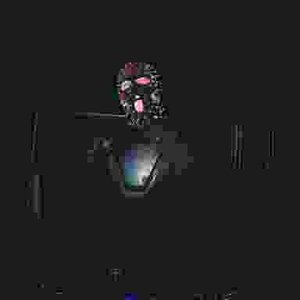 Avatar for ANOLUXX
