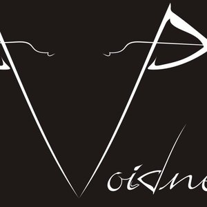 Avatar for Voidness