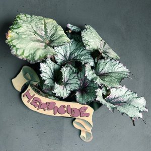 herbicide