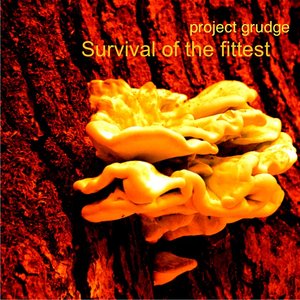 Survival of the fittest