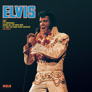 Elvis (Fool) album cover