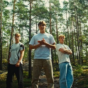 Avatar for Fjellrev