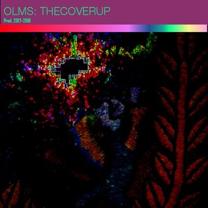 The Cover-up