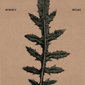 Wiwaty