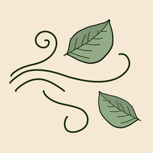 wind blown leaf