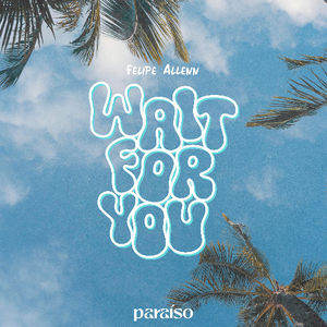 Artwork for Wait For You