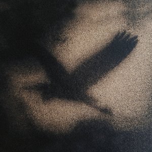Musique pour Ombres Mécaniques