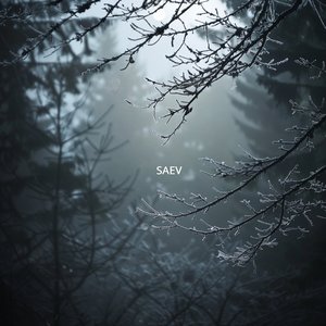 Under the Silver Canopy