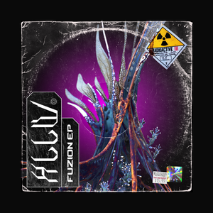 Fuzion EP by HLLW