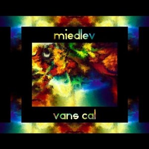 Avatar for Miedlev