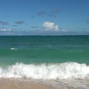 Hawaiian Breeze