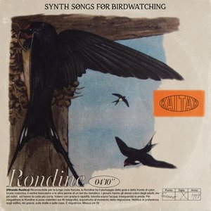 Rondine