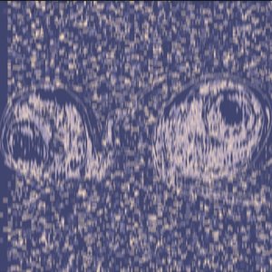 Just Observe (Throwaway) [Explicit]