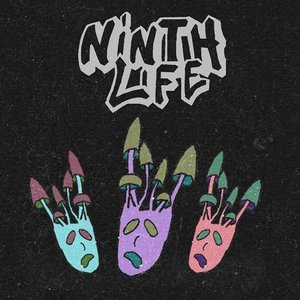 Avatar for Ninth Life