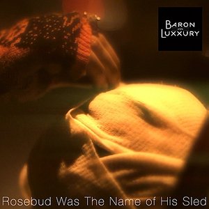 Rosebud Was The Name Of His Sled