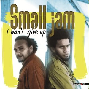 I Won't Give Up