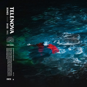 Artwork for Bones