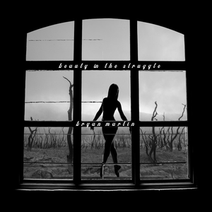 Artwork for Beauty in the Struggle