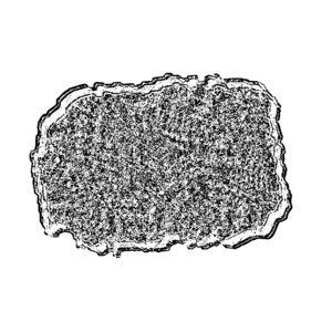 Avatar for OxTxPxDxPxLxTxMx