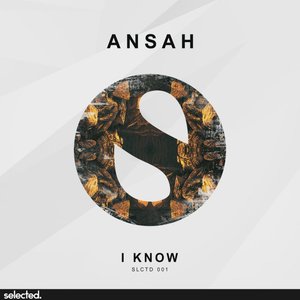 Avatar for Ansah