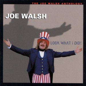 Look What I Did! - The Joe Walsh Anthology