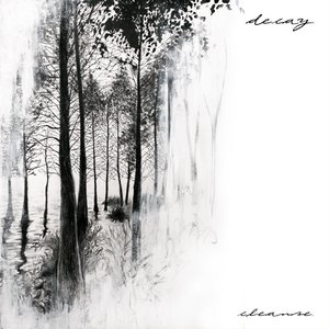 delicate