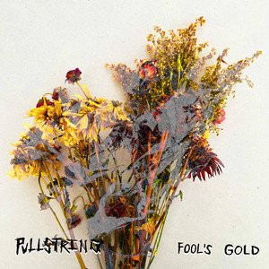 Fool's Gold
