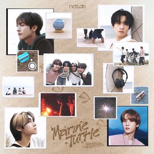 Marine Turtle - NCT LAB - Single