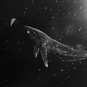SING FOR YOU - Winter Special Album, 2015 by Exo
