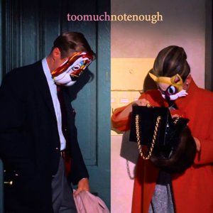 toomuchnotenough