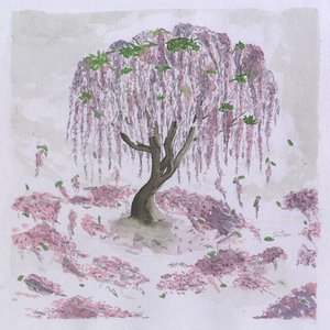 Deciduous