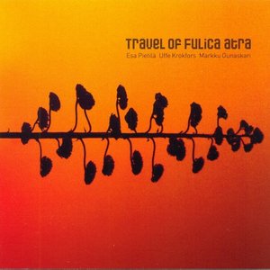 Travel of Fulica atra