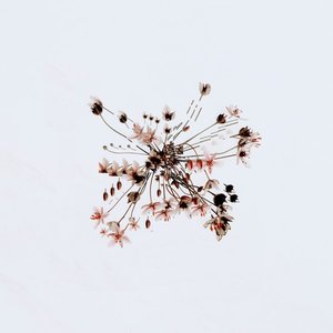 Loon Moon (IMANU Remix)