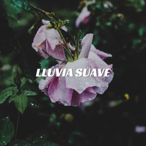 Lluvia suave