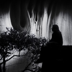 Avatar de Process of Silence