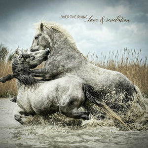 Artwork for Rocking Chair