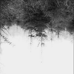 Awatar dla Pure Field Recordings
