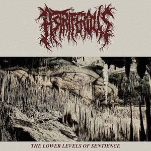 The Lower Levels of Sentience