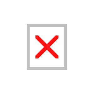 Avatar for Broken Image Icon
