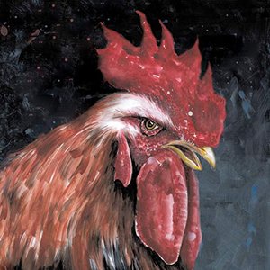Magic Rooster Love