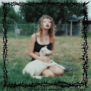 Of Rot and Rebirth