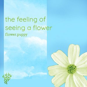 the feeling of seeing a flower