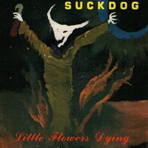 Little Flowers Dying