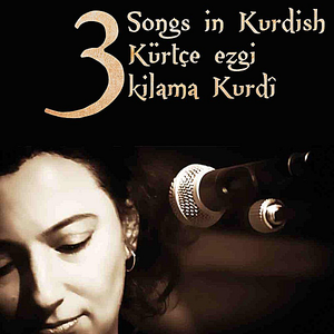 3 Songs In Kurdish by Paula Darwish