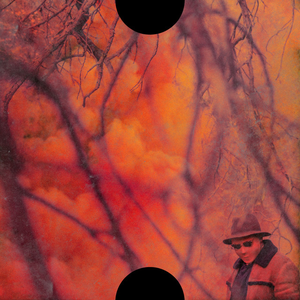 Blank Face LP album cover