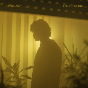 Artwork for HE'S NOT THE ONE