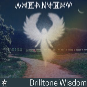 Drilltone Wisdom
