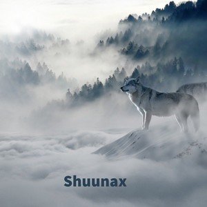 Avatar for Shuunax
