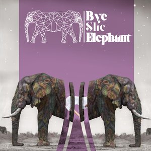 Avatar for Bye She Elephant